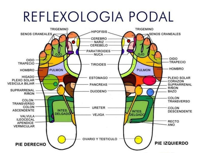 Reflexología Podal