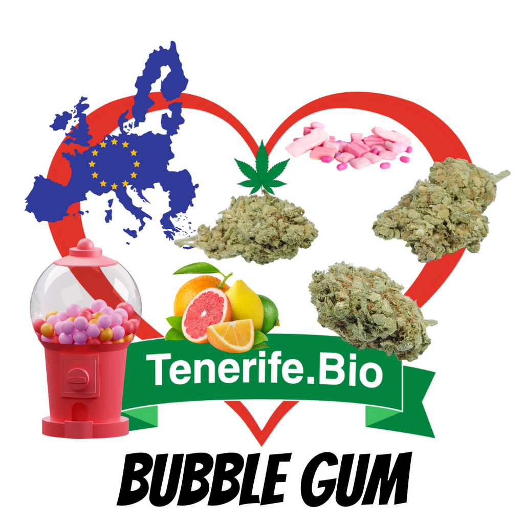 Buble Gum CBD