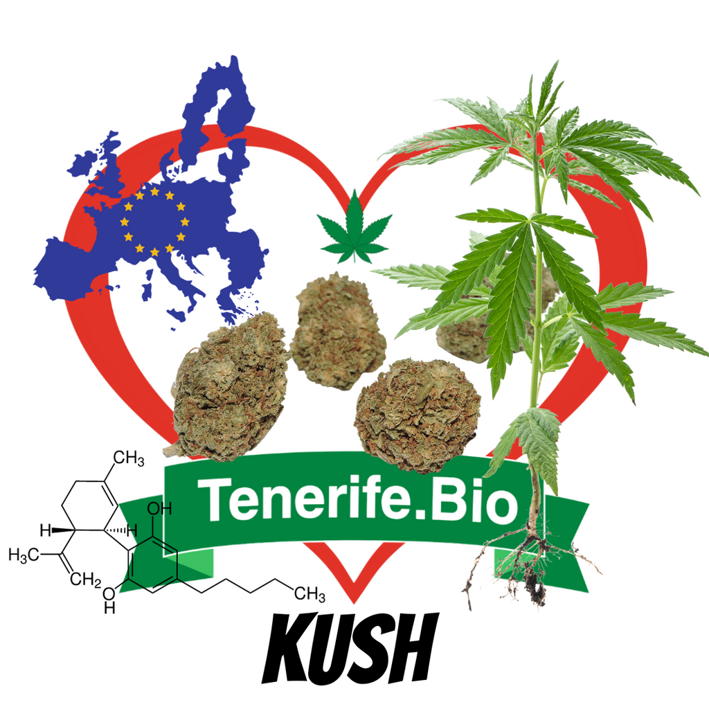 CBD Kush