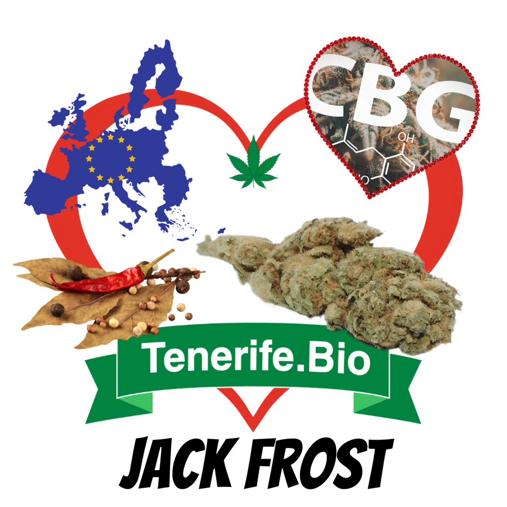 Jack Frost