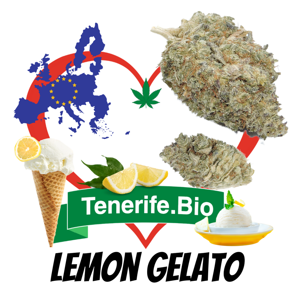 Lemon Gelato CBD