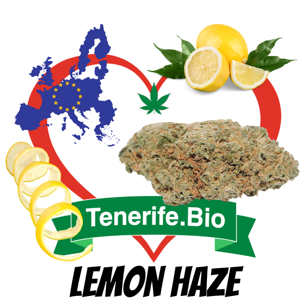 Lemon Haze CBD