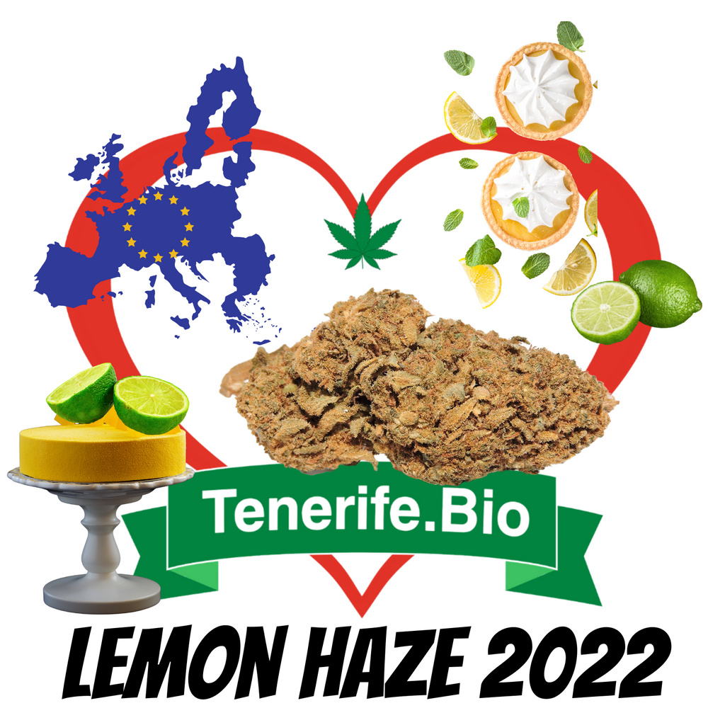 Lemon Haze 2022