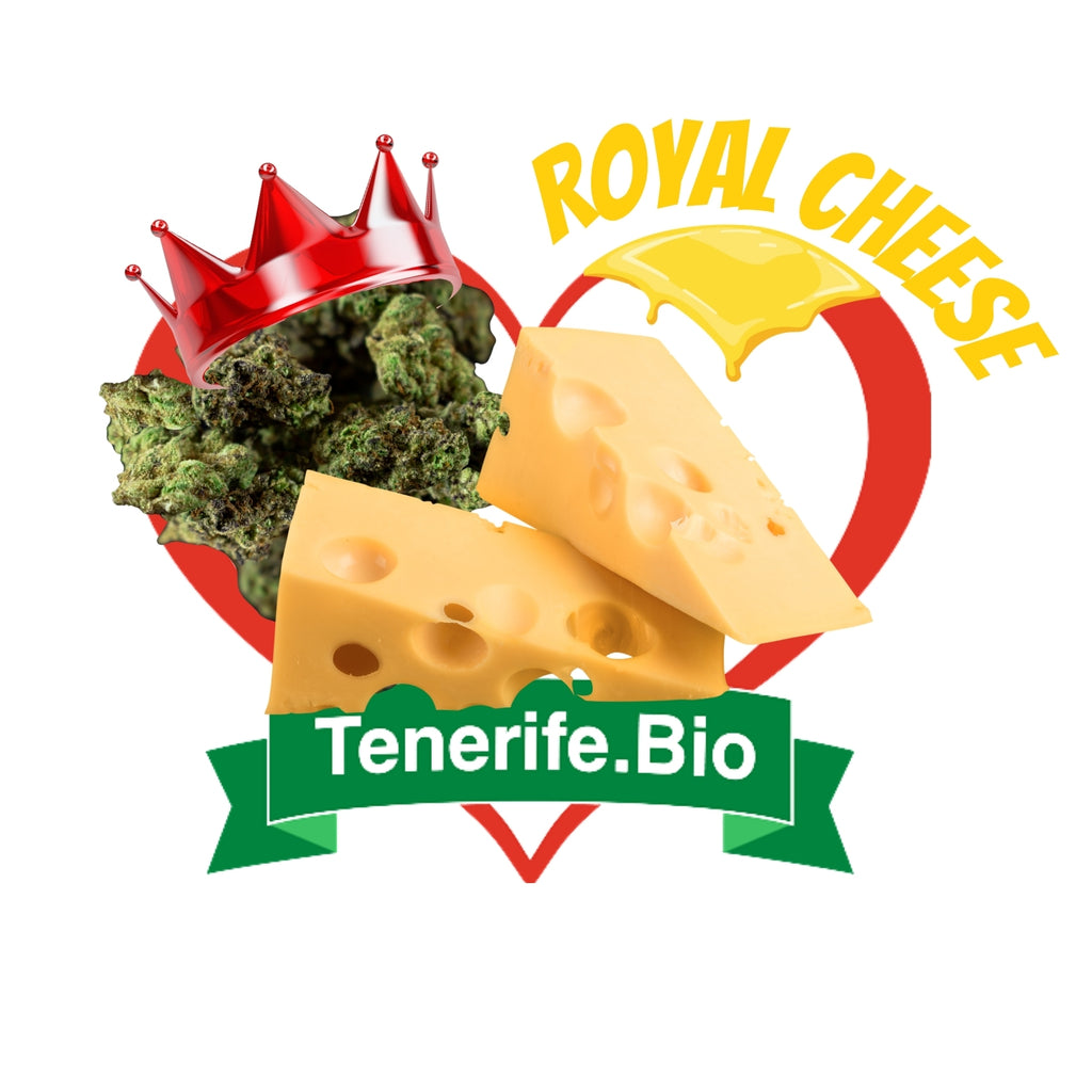 Royal Cheese
