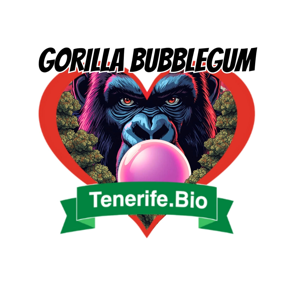 Gorila Bubblegum