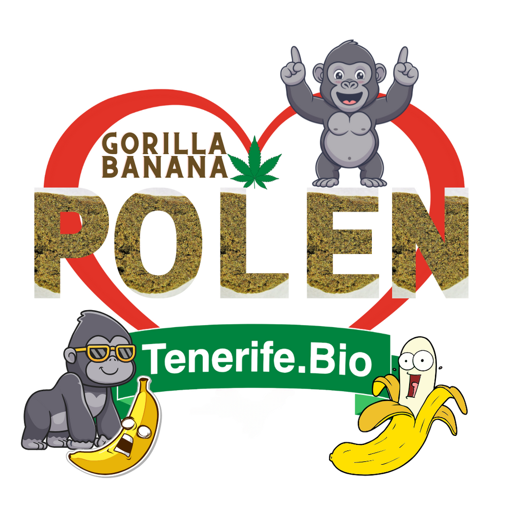 Gorilla Banana Hash