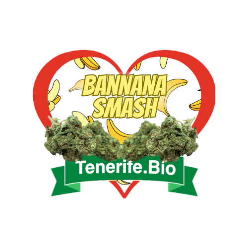 Bannana Smash