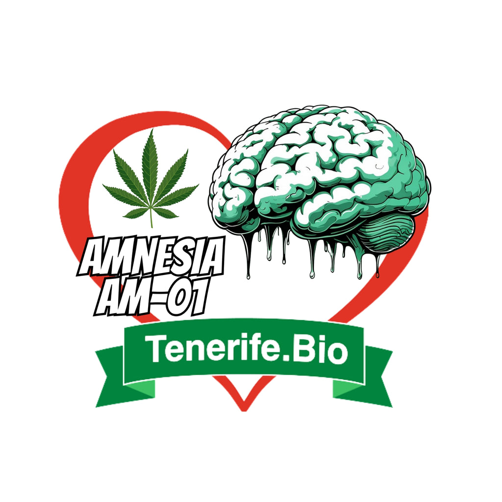 Amnesia AM-01